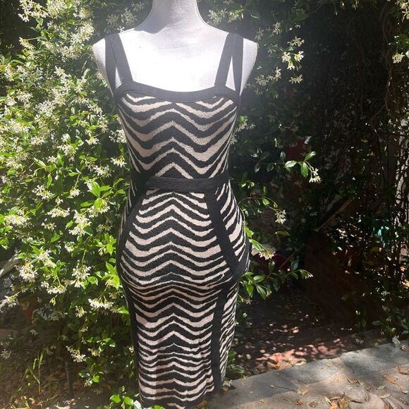 FOREVER 21 ANIMAL PRINT ZEBRA KNIT BODYCON DRESS M - Picture 4 of 11